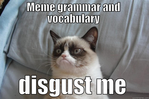 grammar grumpy cat - MEME GRAMMAR AND VOCABULARY DISGUST ME Grumpy Cat