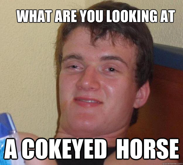 what are you looking at a cokeyed  horse  10 Guy