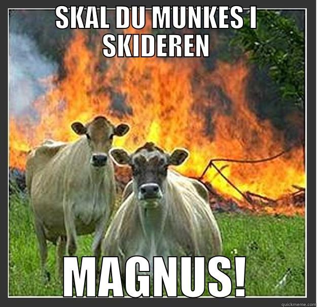 SKAL DU MUNKES I SKIDEREN MAGNUS! Evil cows