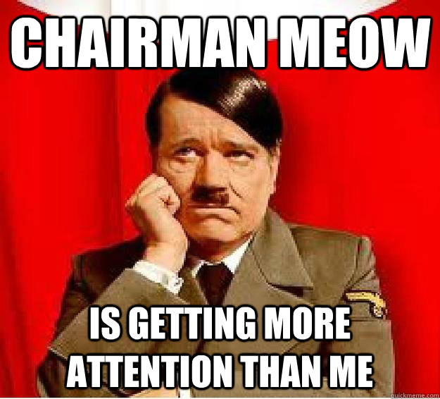 Chairman Meow Is getting more attention than me - Chairman Meow Is getting more attention than me  Sad Hitler