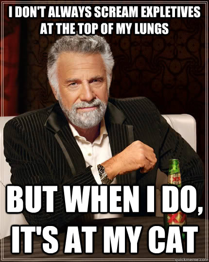 I don't always scream expletives at the top of my lungs but when I do, it's at my cat - I don't always scream expletives at the top of my lungs but when I do, it's at my cat  The Most Interesting Man In The World