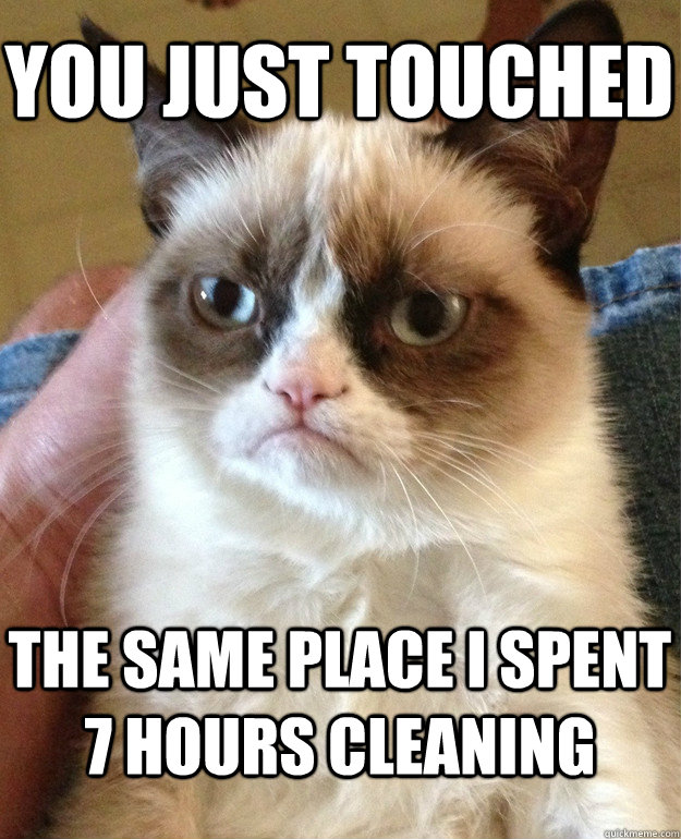 you just touched the same place i spent 7 hours cleaning  Grumpy Cat