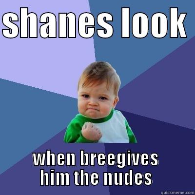 SHANES LOOK  WHEN BREEGIVES HIM THE NUDES Success Kid