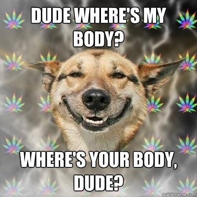 Dude where's my body? where's your body, dude?  Stoner Dog