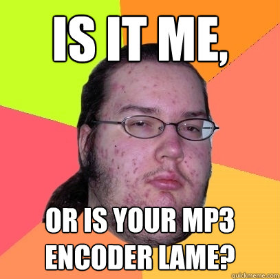 Is it me, or is your mp3 encoder lame? - Is it me, or is your mp3 encoder lame?  Butthurt Dweller