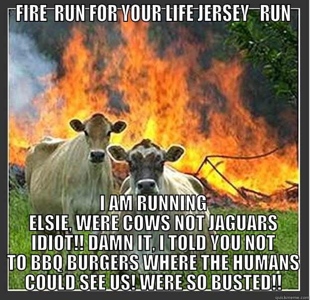 THE SAGA OF ELSIE AND JERSEY CONTINUE - FIRE  RUN FOR YOUR LIFE JERSEY   RUN I AM RUNNING ELSIE, WERE COWS NOT JAGUARS IDIOT!! DAMN IT, I TOLD YOU NOT TO BBQ BURGERS WHERE THE HUMANS COULD SEE US! WERE SO BUSTED!! Evil cows