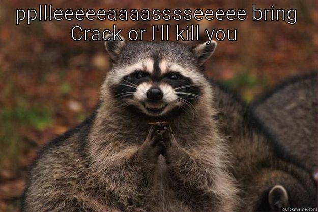 PPLLLEEEEEAAAASSSSEEEEE BRING CRACK   Evil Plotting Raccoon