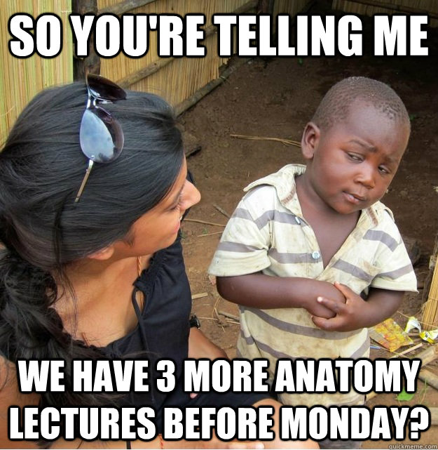 so you're telling me We have 3 more anatomy lectures before Monday? - so you're telling me We have 3 more anatomy lectures before Monday?  Skeptical Third World Kid