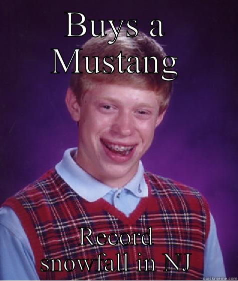 BUYS A MUSTANG RECORD SNOWFALL IN NJ Bad Luck Brian