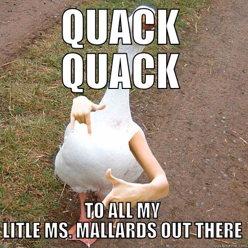 QUACK QUACK TO ALL MY LITLE MS. MALLARDS OUT THERE Misc