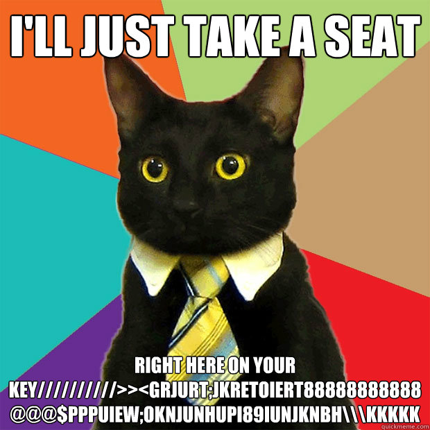 I'll just take a seat right here on your key//////////>><grjurt;jkretoiert88888888888@@@$£pppuiew;oknjunhupi89iunjknbh\\\kkkkk  Business Cat