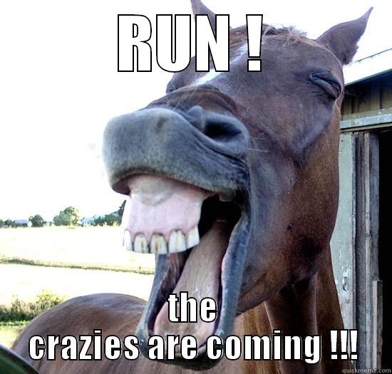 RUN ! THE CRAZIES ARE COMING !!! Misc