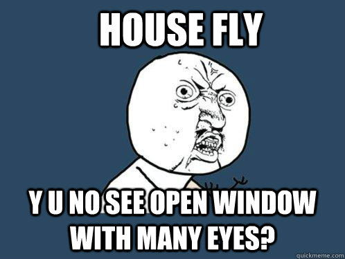 House fly y u no see open window with many eyes?  Y U No