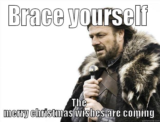 BRACE YOURSELF THE MERRY CHRISTMAS WISHES ARE COMING Misc