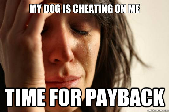 my dog is cheating on me time for payback  First World Problems