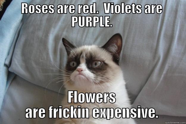 Roses are red.  Violets are PURPLE.  Flowers are frickin expensive. - ROSES ARE RED.  VIOLETS ARE PURPLE. FLOWERS ARE FRICKIN EXPENSIVE. Grumpy Cat