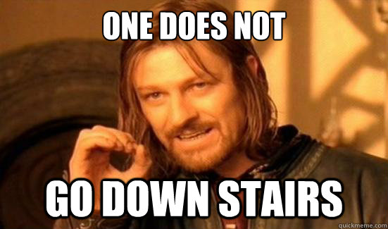 One does not Go down stairs  Boromir