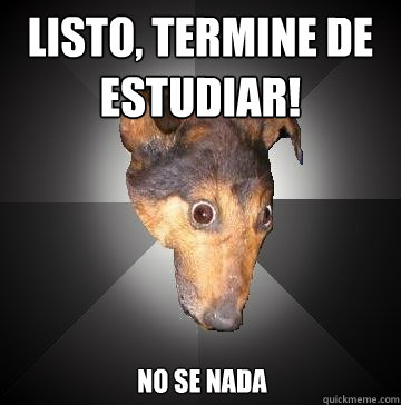 Listo, termine de estudiar! No se nada  Depression Dog