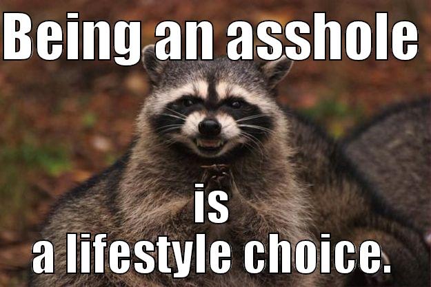 lol  - BEING AN ASSHOLE  IS  A LIFESTYLE CHOICE.  Evil Plotting Raccoon