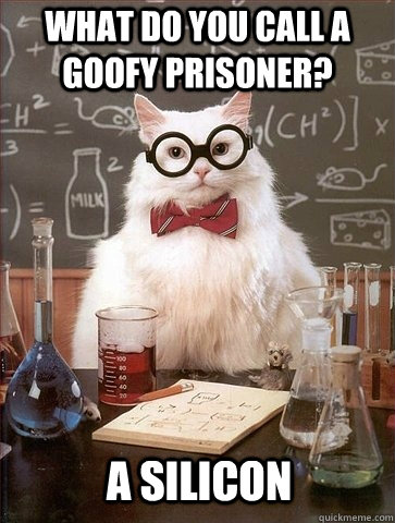 What do you call a goofy prisoner? A silicon  Chemistry Cat