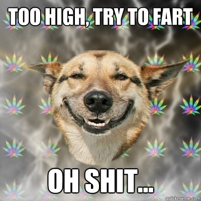 Too high, try to fart Oh shit...  Stoner Dog