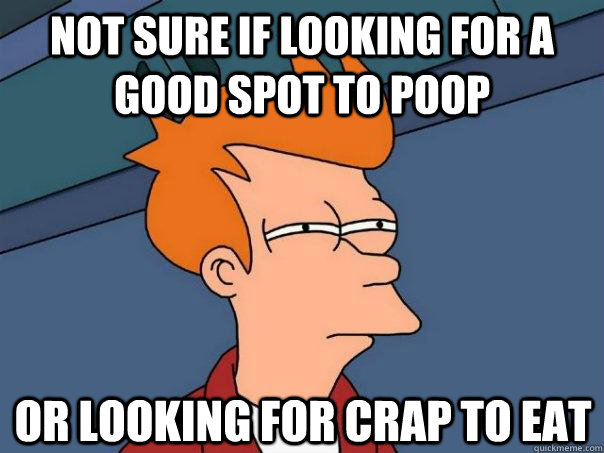 Not sure if looking for a good spot to poop or looking for crap to eat  Futurama Fry