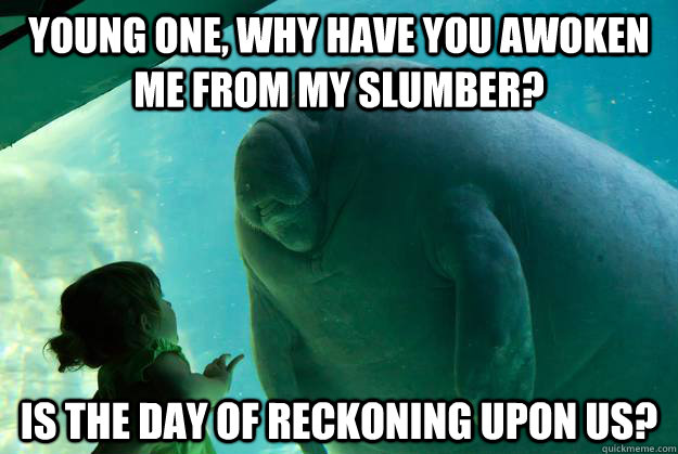 young one, why have you awoken me from my slumber? is the day of reckoning upon us?  Overlord Manatee