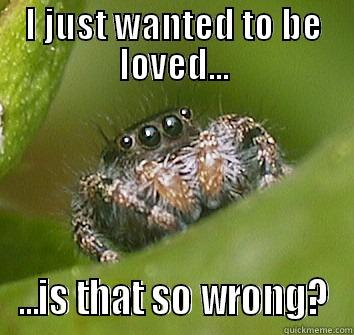 I JUST WANTED TO BE LOVED... ...IS THAT SO WRONG? Misunderstood Spider