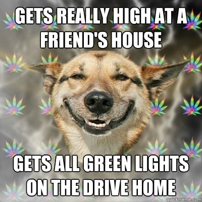 Gets really high at a friend's house gets all green lights on the drive home  Stoner Dog