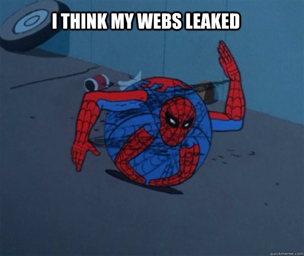 I think my webs leaked  