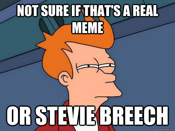 Not sure if that's a real meme or stevie breech  Futurama Fry