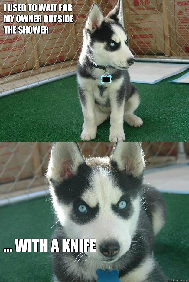 I used to wait for
my owner outside
the shower ... with a knife  Insanity puppy