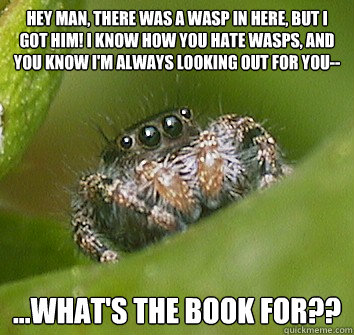 Hey man, there was a wasp in here, but I got him! I know how you hate wasps, and you know I'm always looking out for you-- ...what's the book for??  Misunderstood Spider