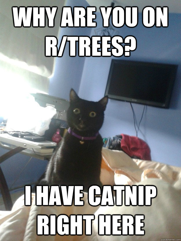 why are you on r/trees? i have catnip right here  overly attached cat