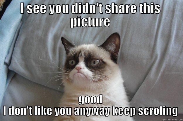 I SEE YOU DIDN'T SHARE THIS PICTURE GOOD I DON'T LIKE YOU ANYWAY KEEP SCROLING Grumpy Cat