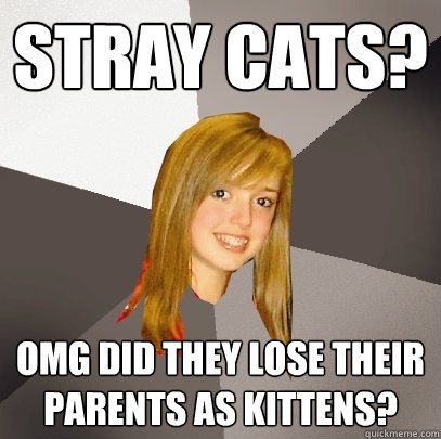 stray cats? OMG did they lose their parents as kittens?  Musically Oblivious 8th Grader