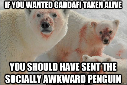 If you wanted gaddafi taken alive You should have sent the Socially Awkward Penguin   