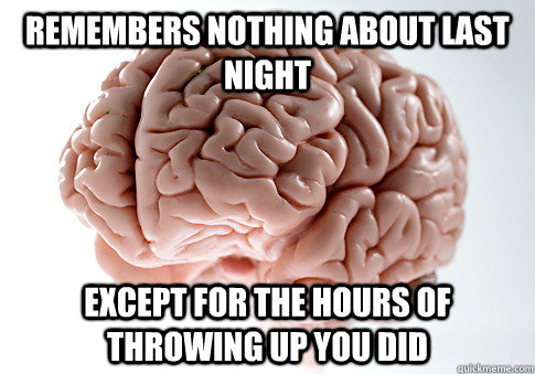 Remembers nothing about last night Except for the hours of throwing up you did  Scumbag Brain