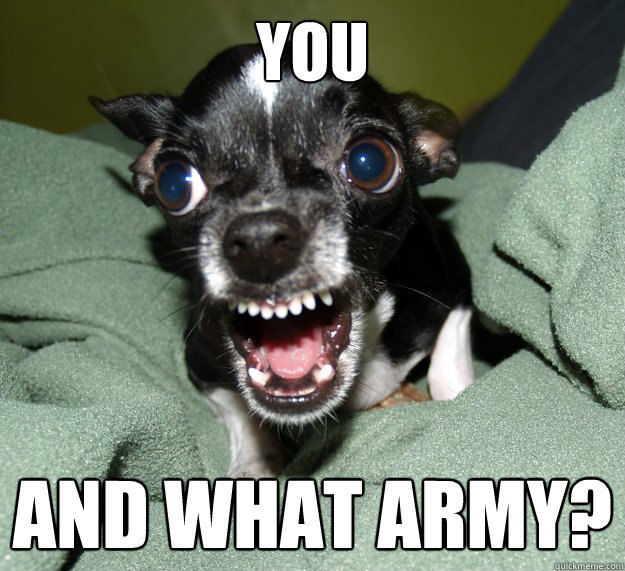 YOU and what army? - YOU and what army?  Chihuahua Logic