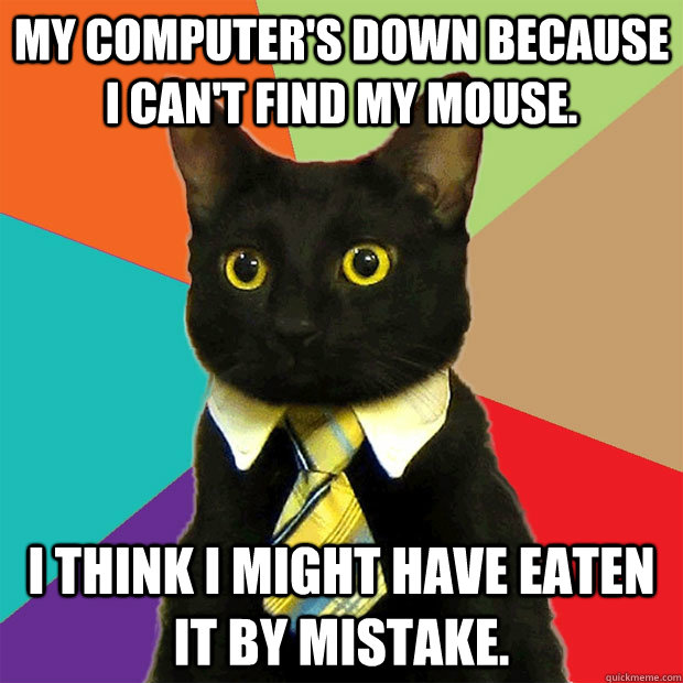 My computer's down because I can't find my mouse. I think I might have eaten it by mistake.  Business Cat