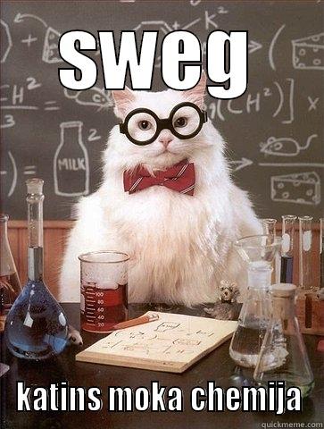 SWEG KATINS MOKA CHEMIJA Chemistry Cat