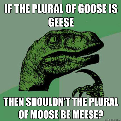 If the plural of goose is geese Then shouldn't the plural of moose be meese? - If the plural of goose is geese Then shouldn't the plural of moose be meese?  Philosoraptor