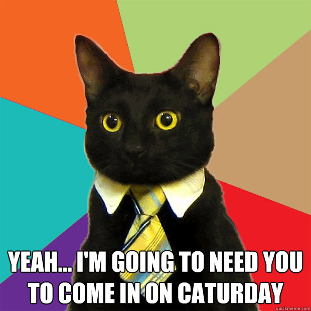  yeah... i'm going to need you to come in on caturday  Business Cat