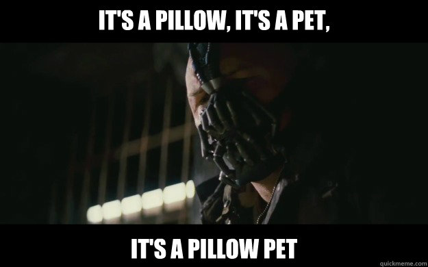 IT'S A PILLOW, IT'S A PET, IT'S A PILLOW PET  Badass Bane