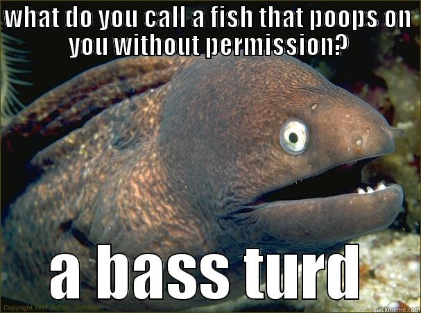 WHAT DO YOU CALL A FISH THAT POOPS ON YOU WITHOUT PERMISSION? A BASS TURD Bad Joke Eel