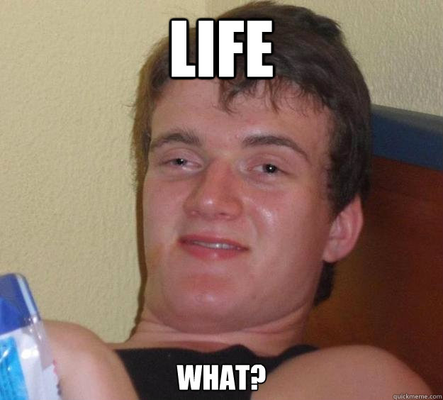 life what? - life what?  10 Guy