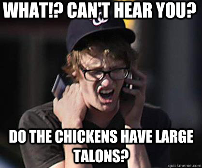 What!? Can't hear you? do the chickens have large talons?  Sad Hipster