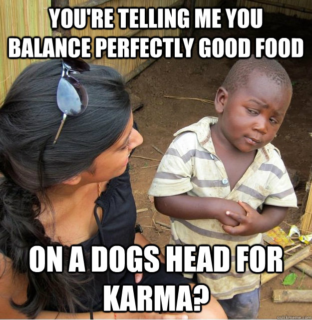 You're telling me you balance perfectly good food On a dogs head for karma?  Skeptical Third World Kid
