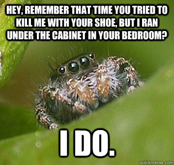 Hey, Remember that time you tried to kill me with your shoe, but I ran under the cabinet in your bedroom? I do. - Hey, Remember that time you tried to kill me with your shoe, but I ran under the cabinet in your bedroom? I do.  Misunderstood Spider