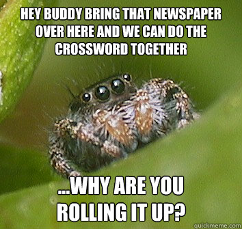 hey buddy bring that newspaper over here and we can do the crossword together ...why are you 
rolling it up?  Misunderstood Spider